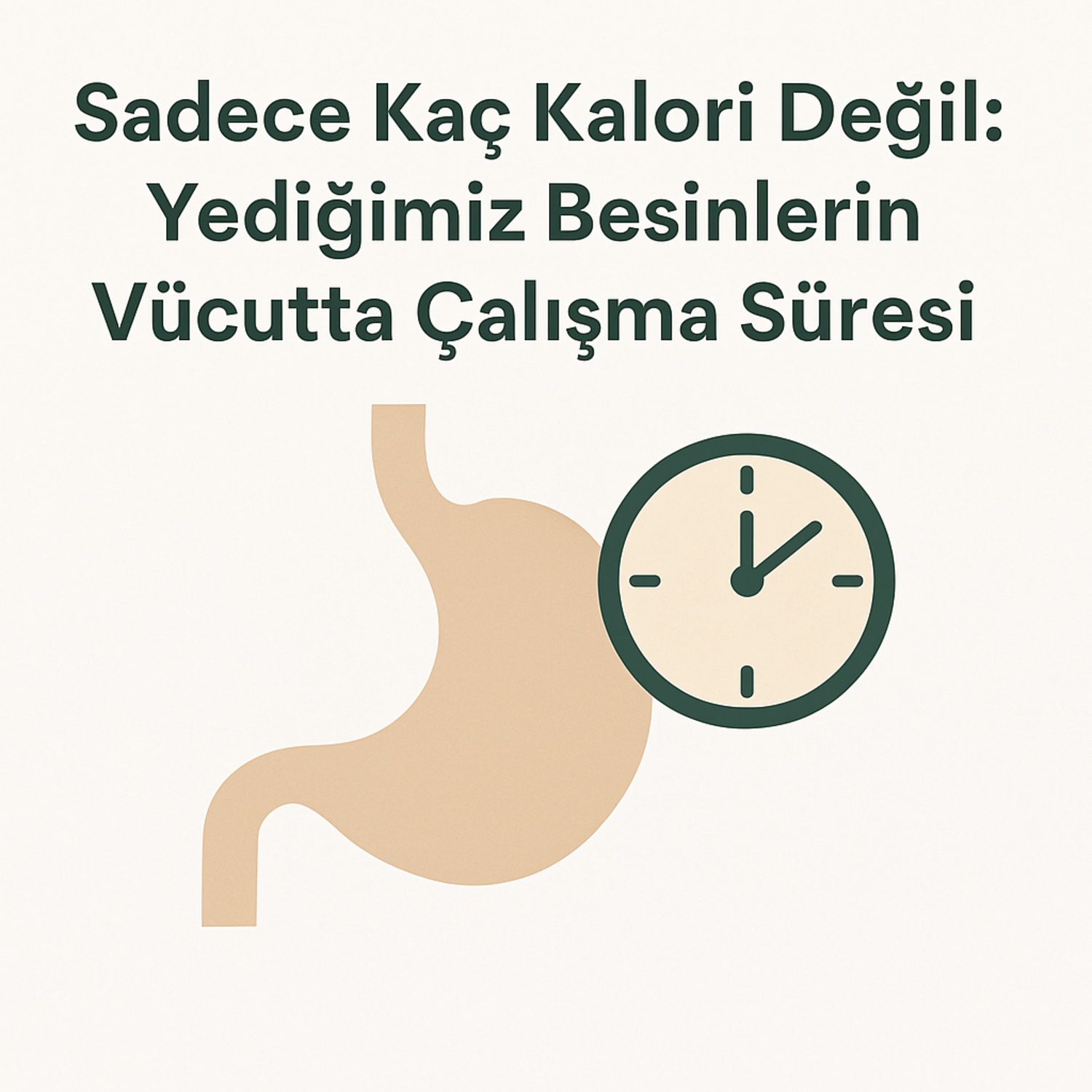 Sadece Kaç Kalori Değil: Yediğimiz Besinlerin Vücutta Çalışma Süresi